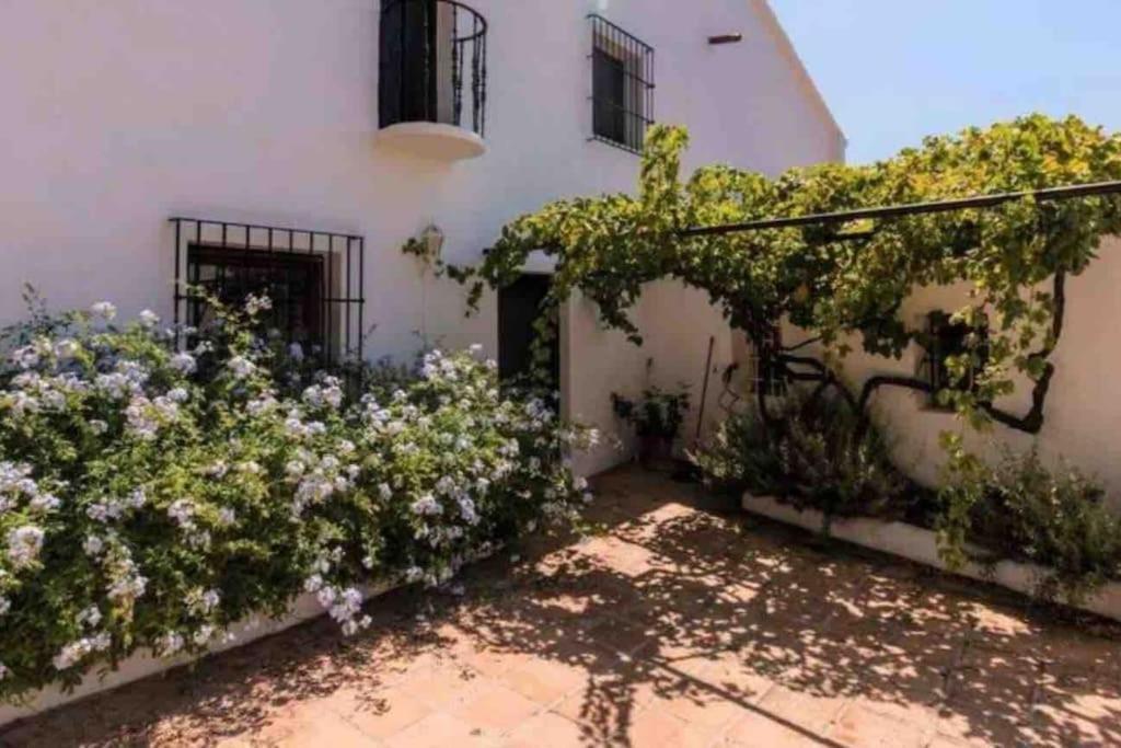 Cortijo Nerja Artist Paradise Buitenkant foto