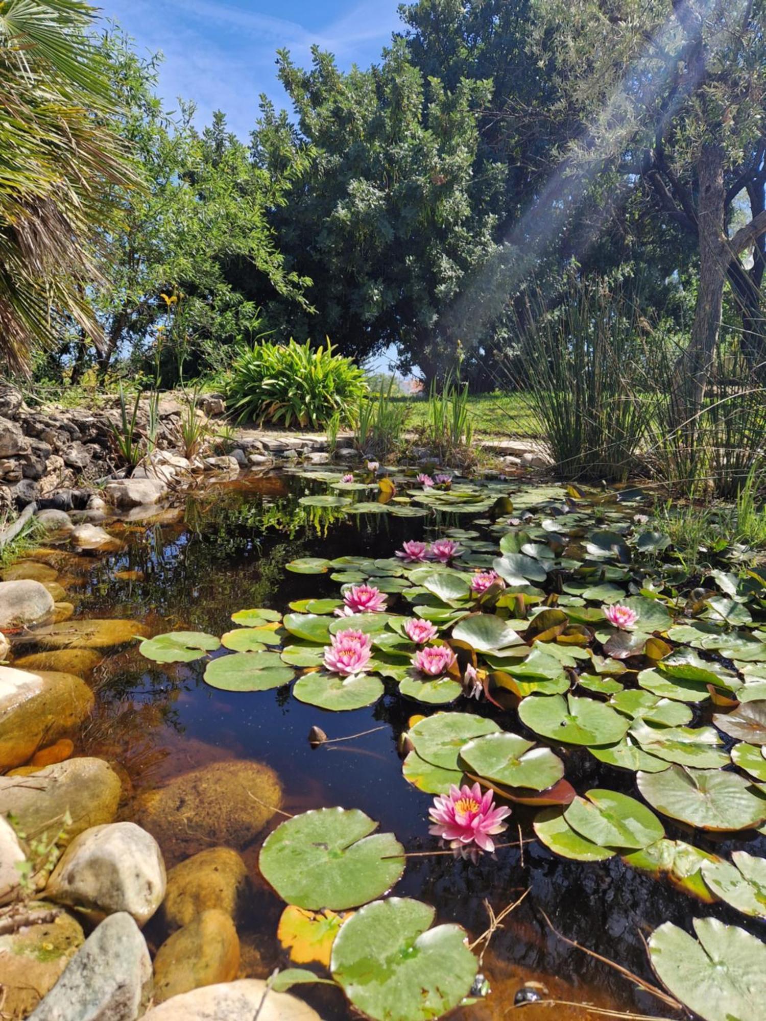 Cortijo Nerja Artist Paradise Buitenkant foto